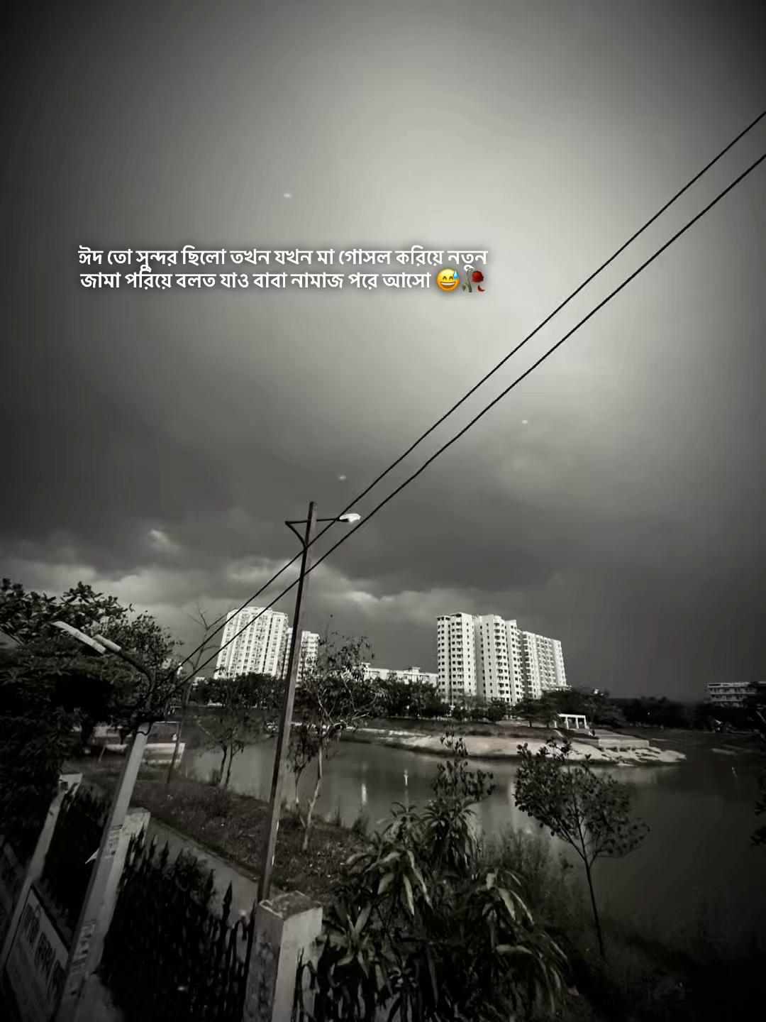 @𝐏𝐑𝐎 𝐋𝐈𝐍𝐄𝐑 𝐗