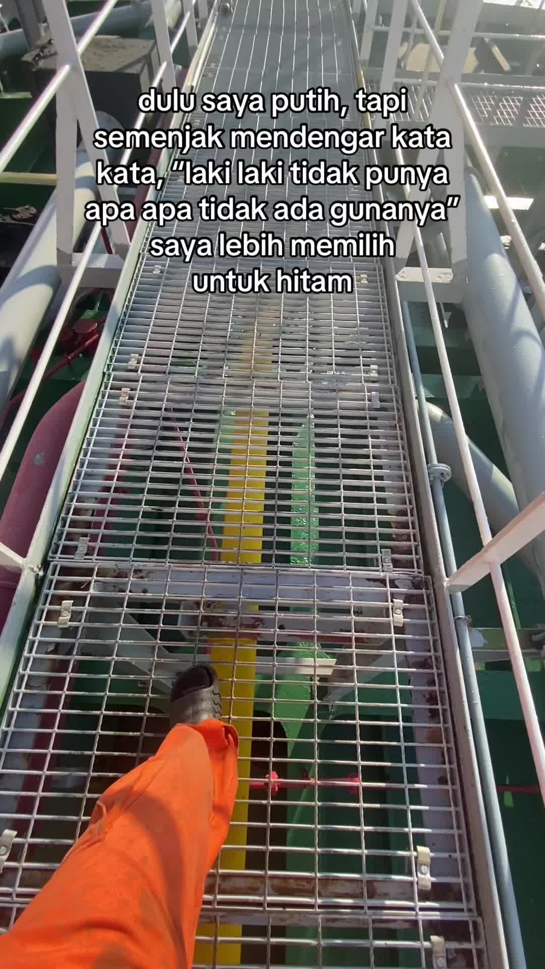 @🐬