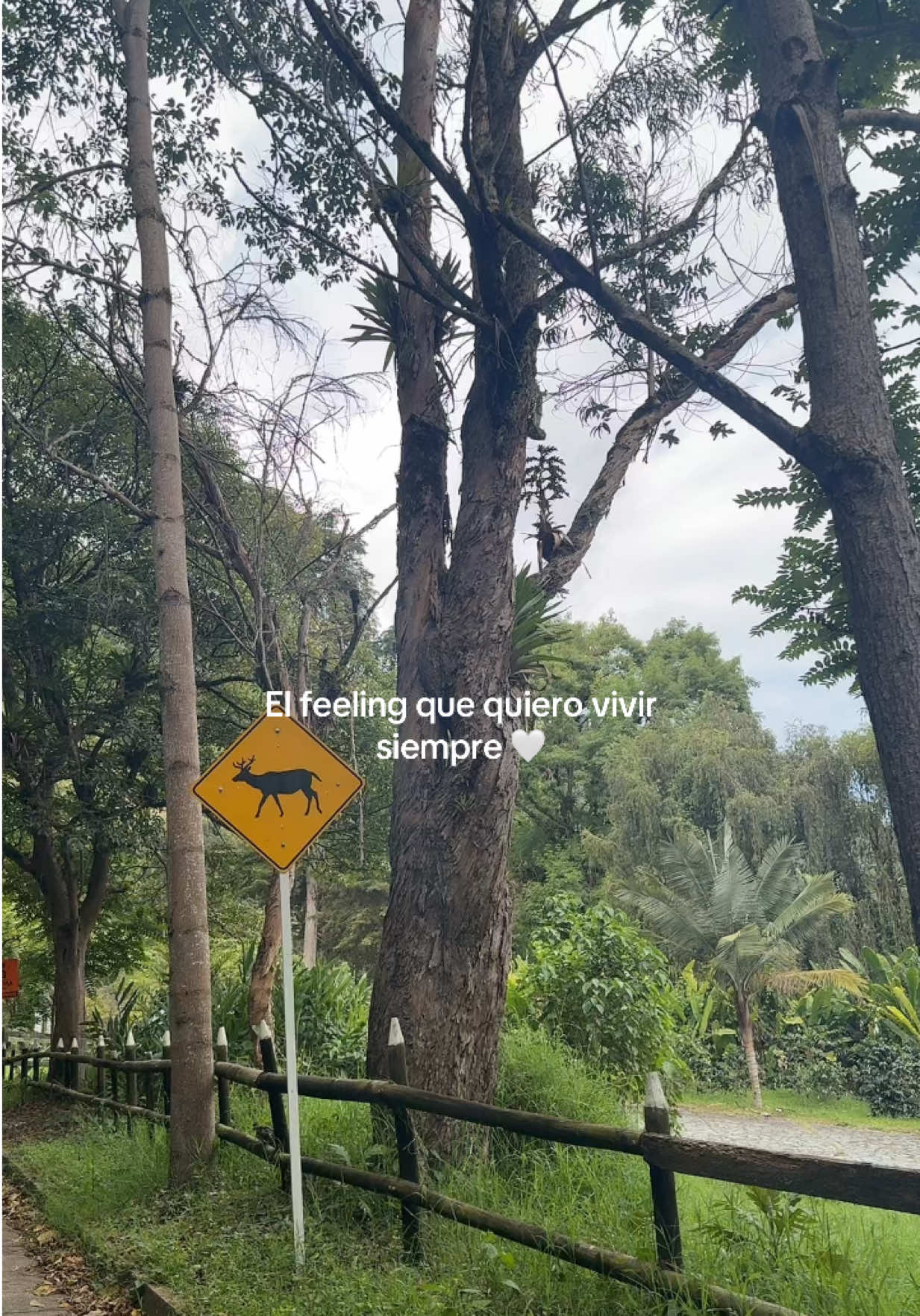 @𝓜𝓸𝓷𝓲🦋