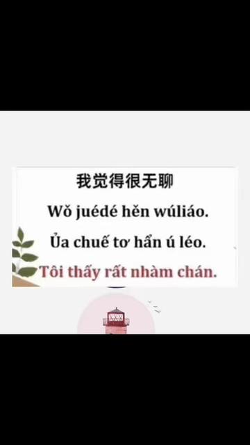 @Linh Ở Thượng Hải
