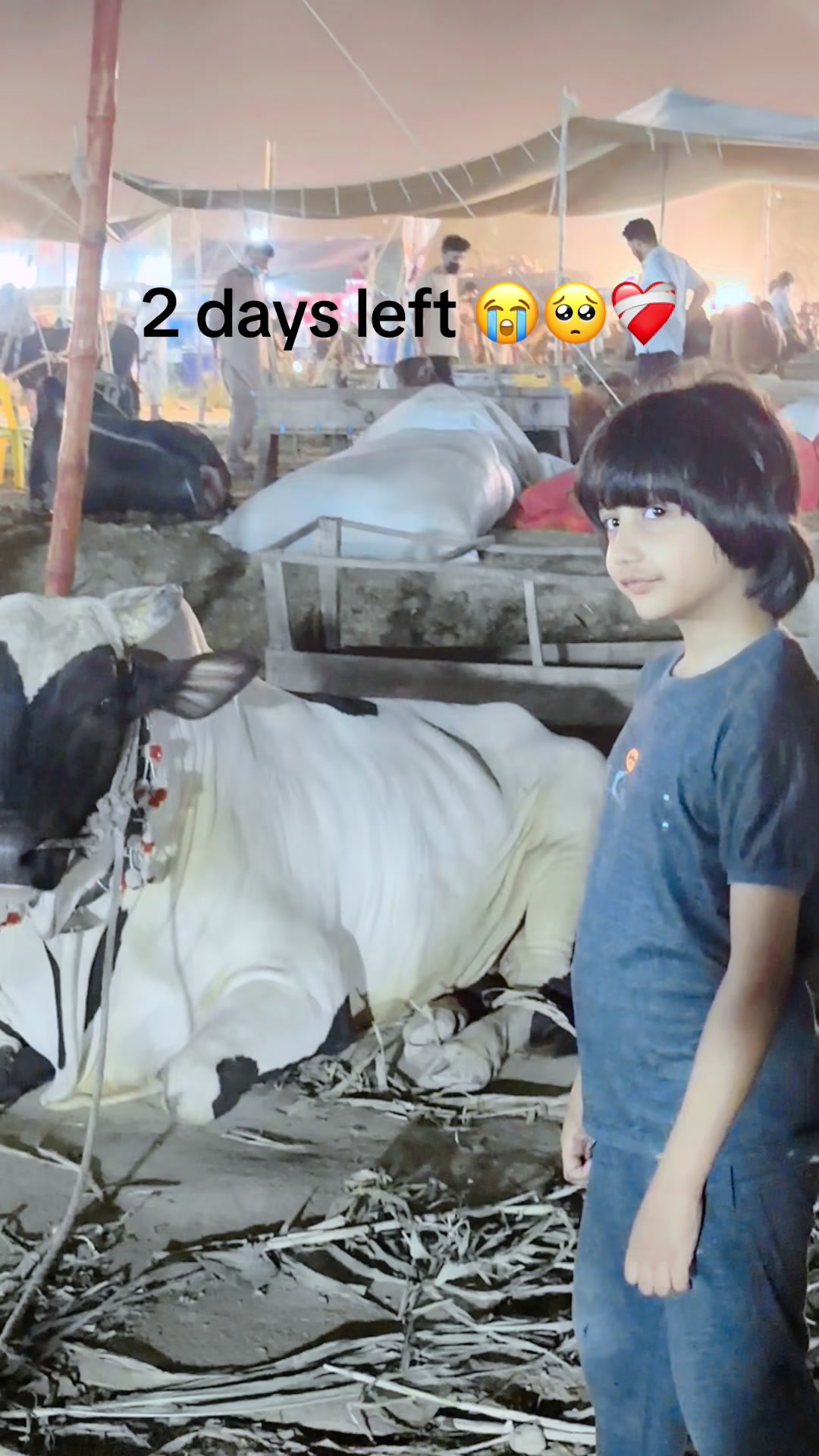 @Prince SaaD 👑