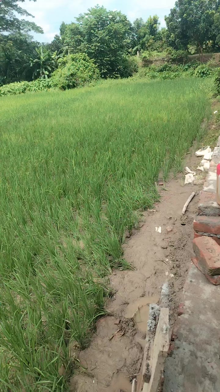 @শুধু তোমার জন্য পাগল