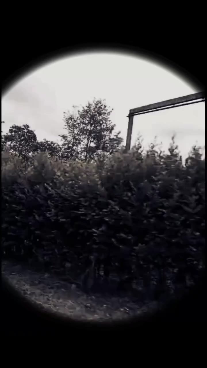 @M. H.