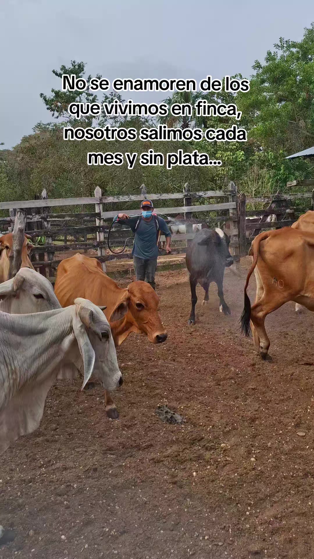 @Caldera 99