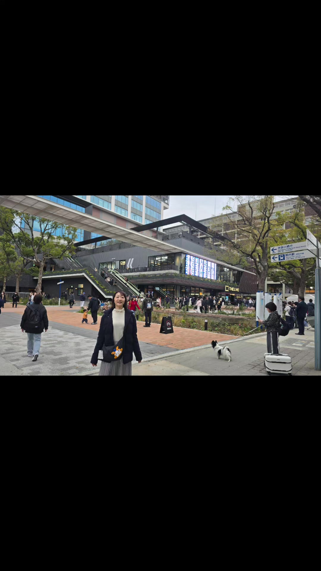 @ｱｯｷｰ