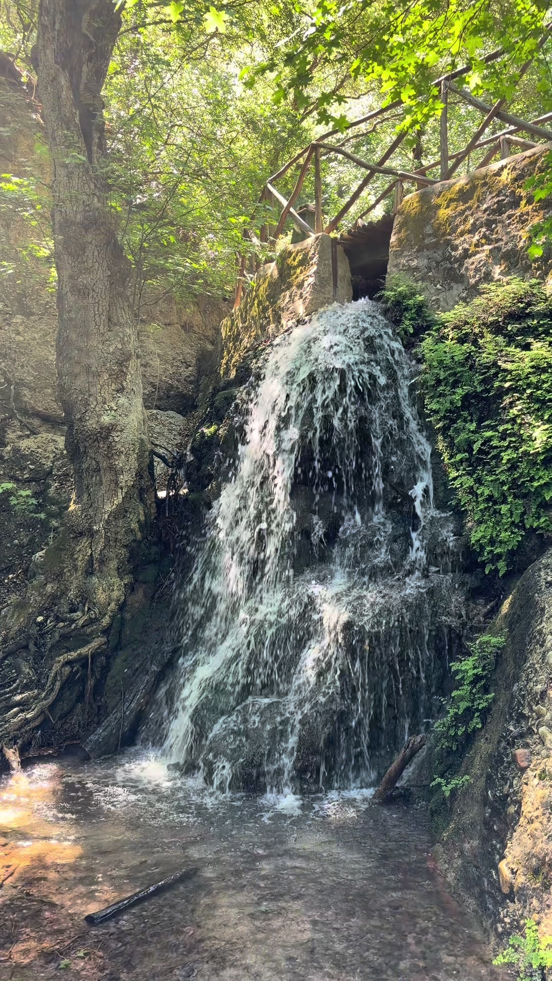 @onyvaviens