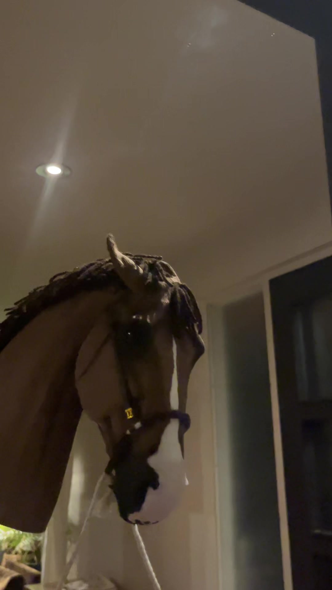 @zhobbyhorse
