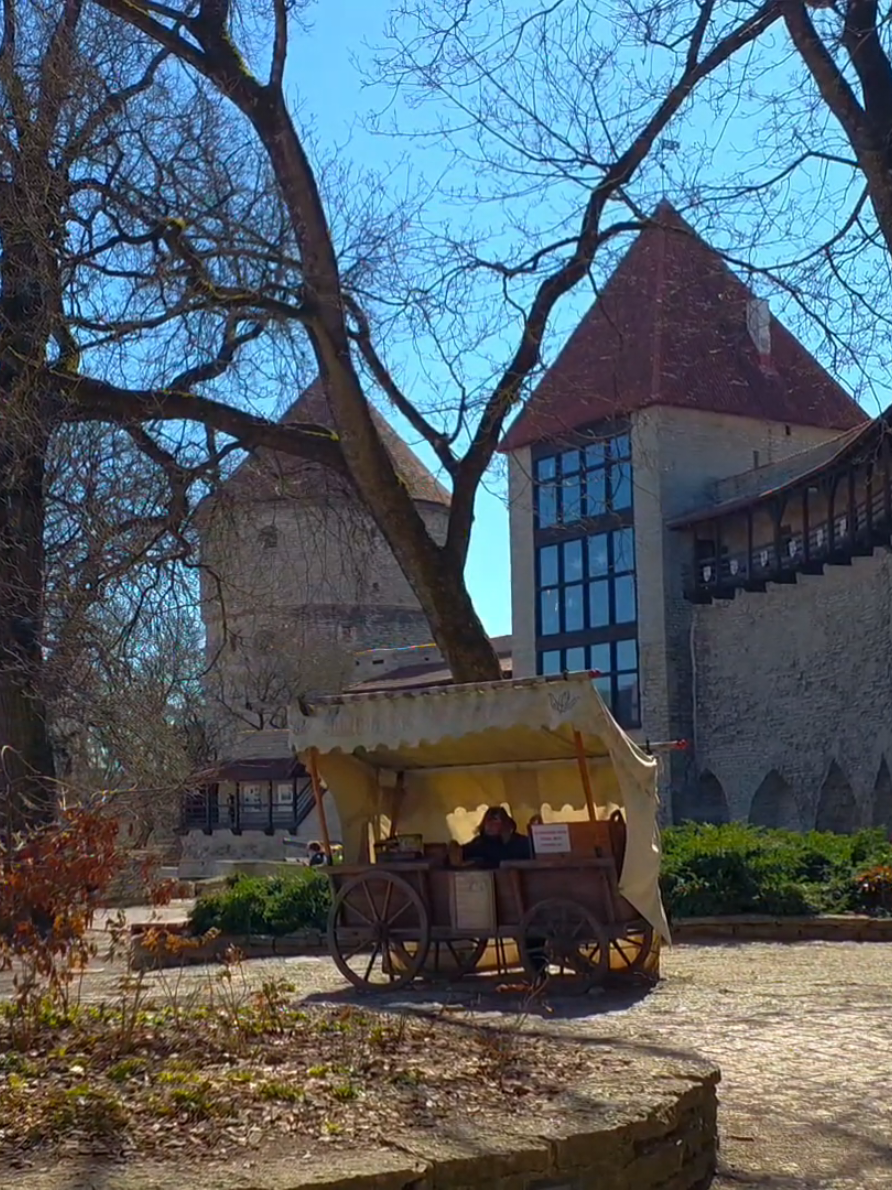 @Victor in Estonia