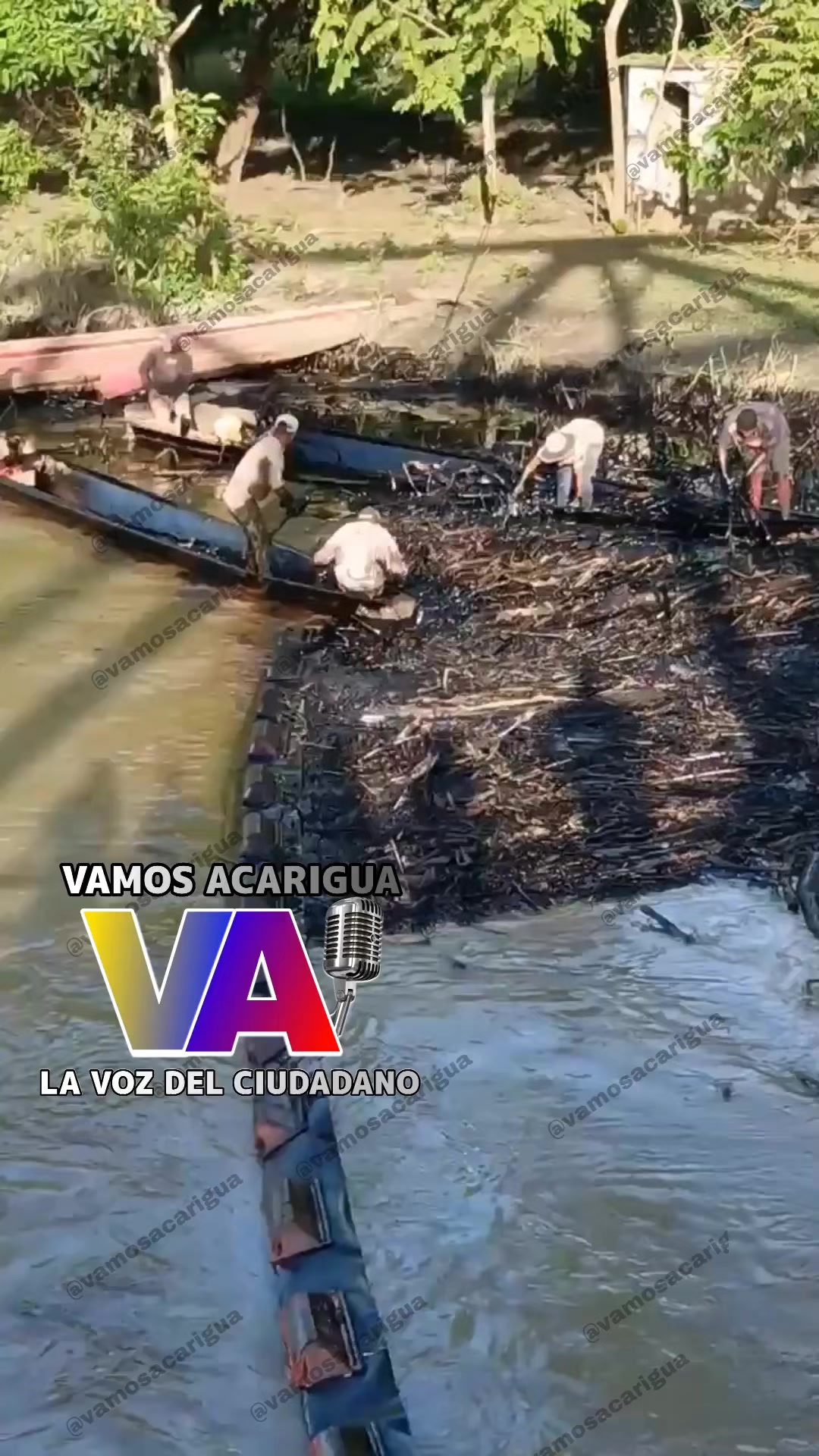 @Vamos Acarigua