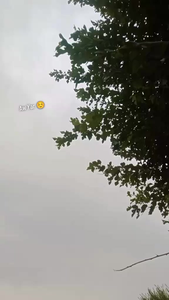 @👁️H .A👁️
