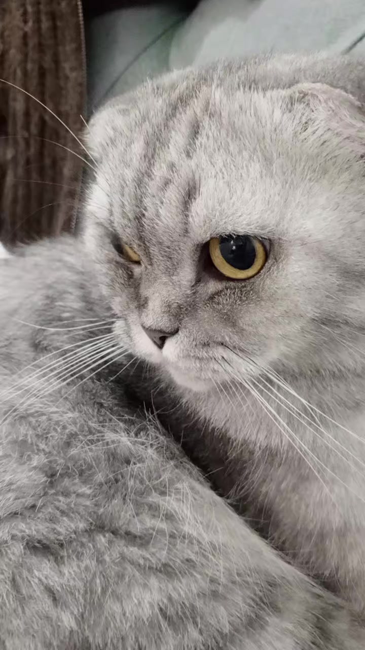 @MAVİİ🐾ALİŞŞ
