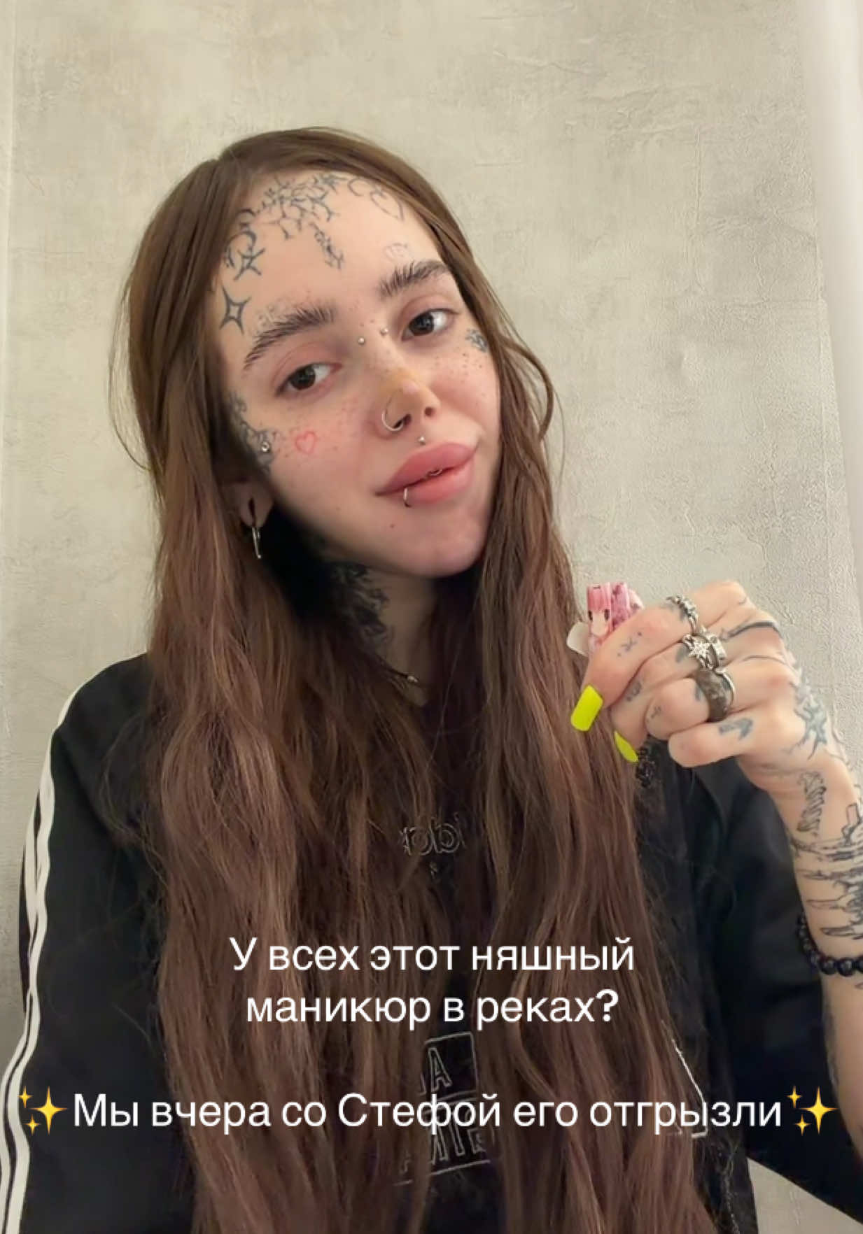 @imLapahapa 🐾