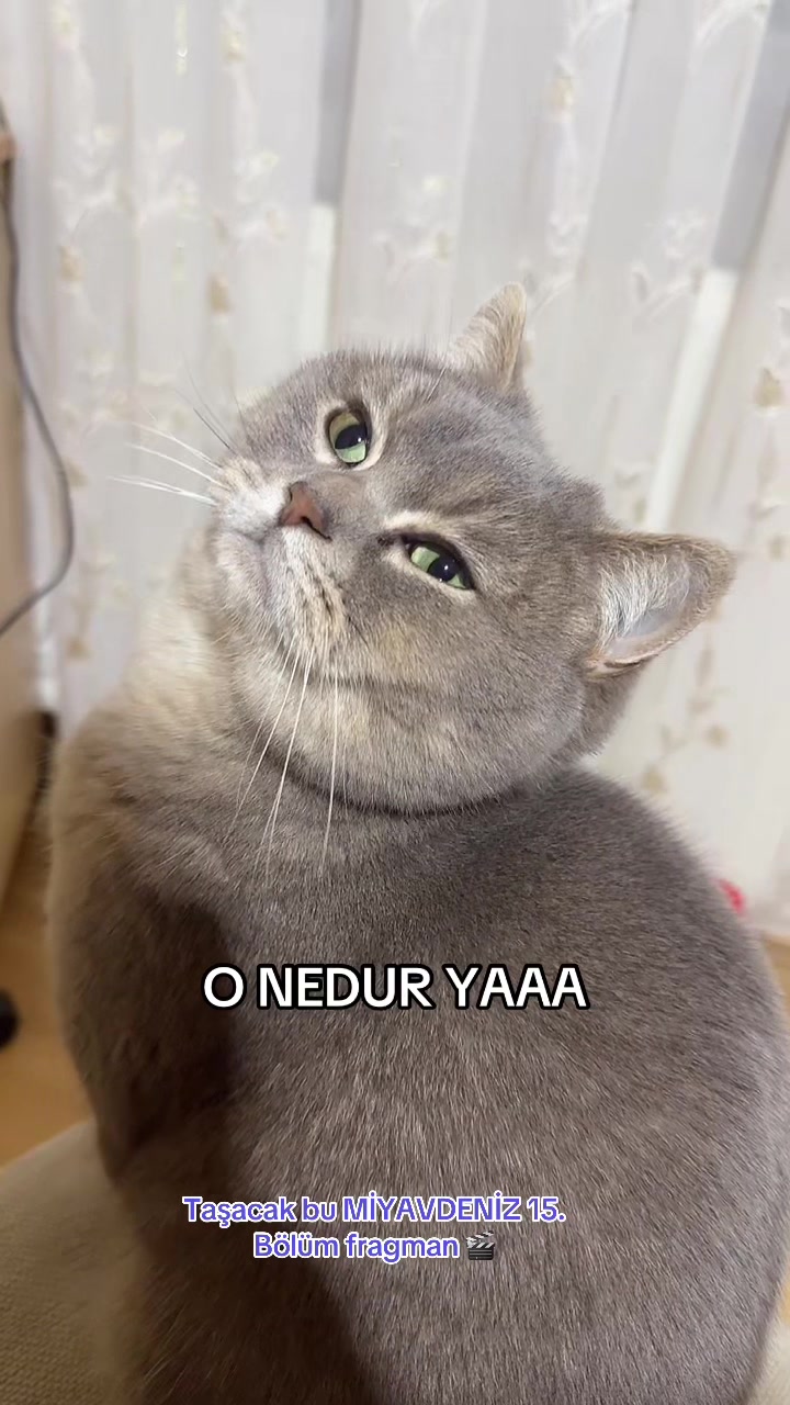 @MokaMia