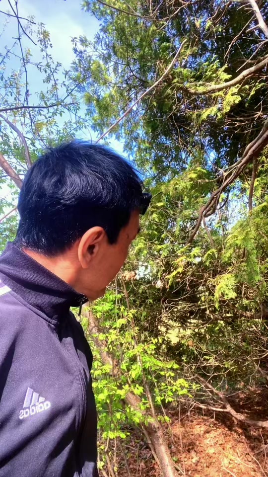 @Mahendra Khadka