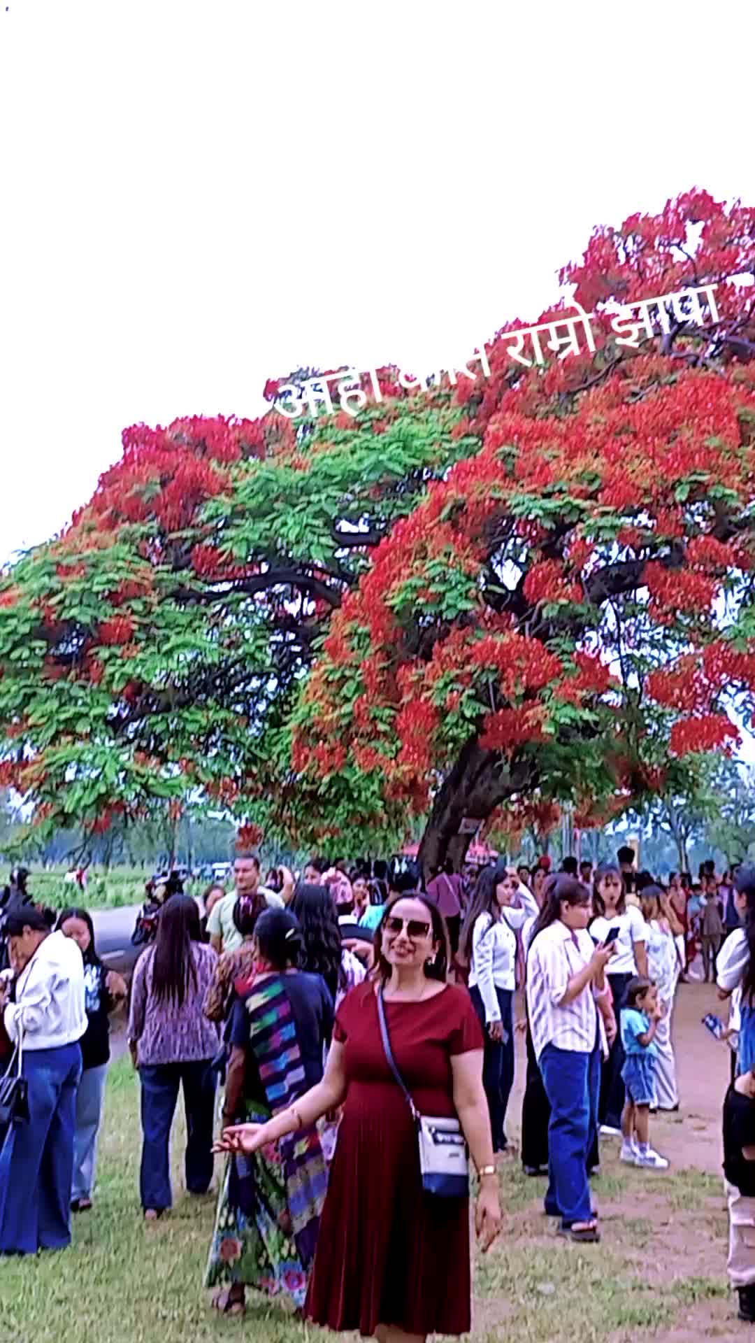 @indrakhadka713