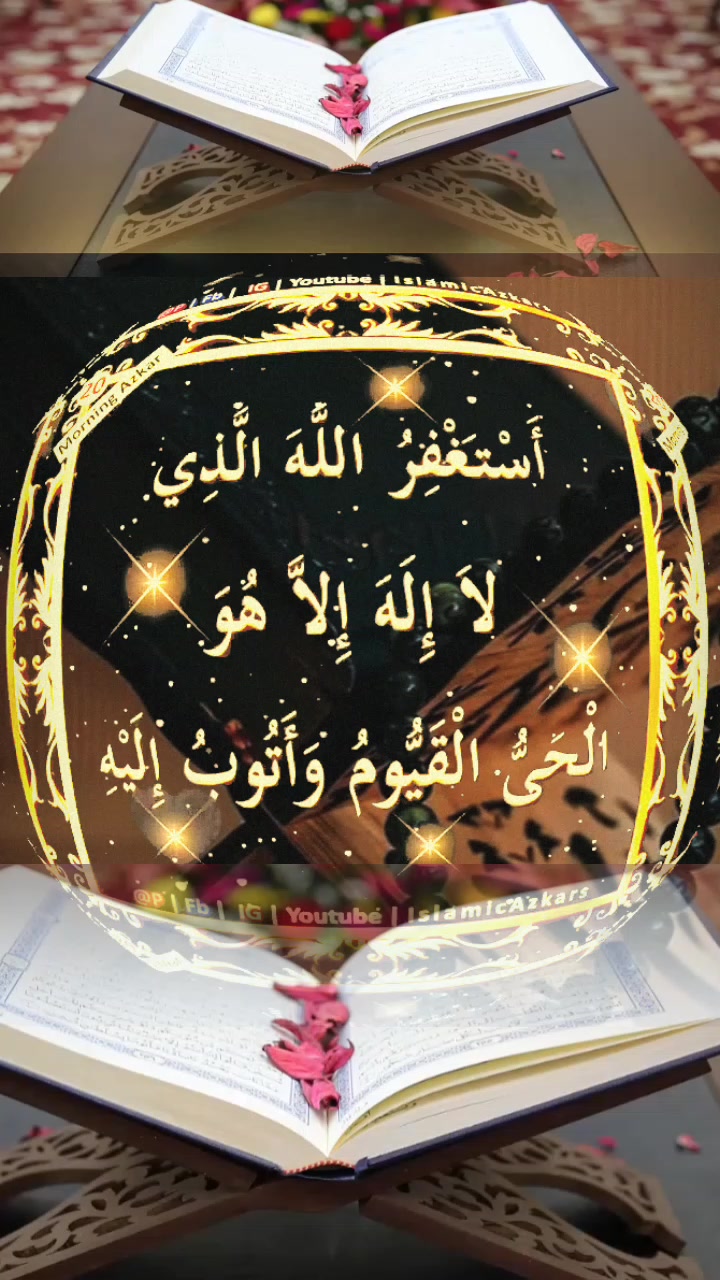@পাখি পাখি