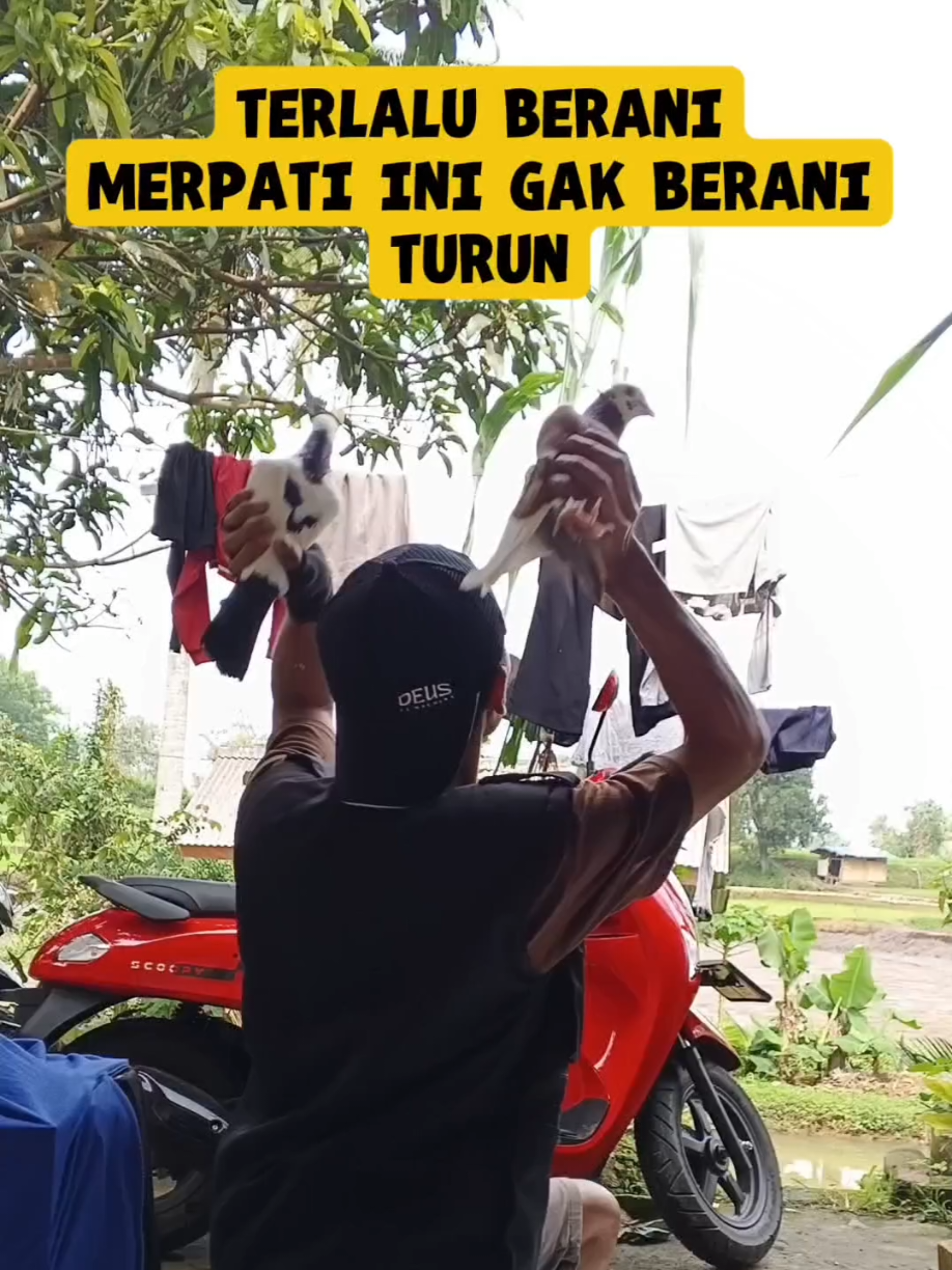 @BANG LEYON
