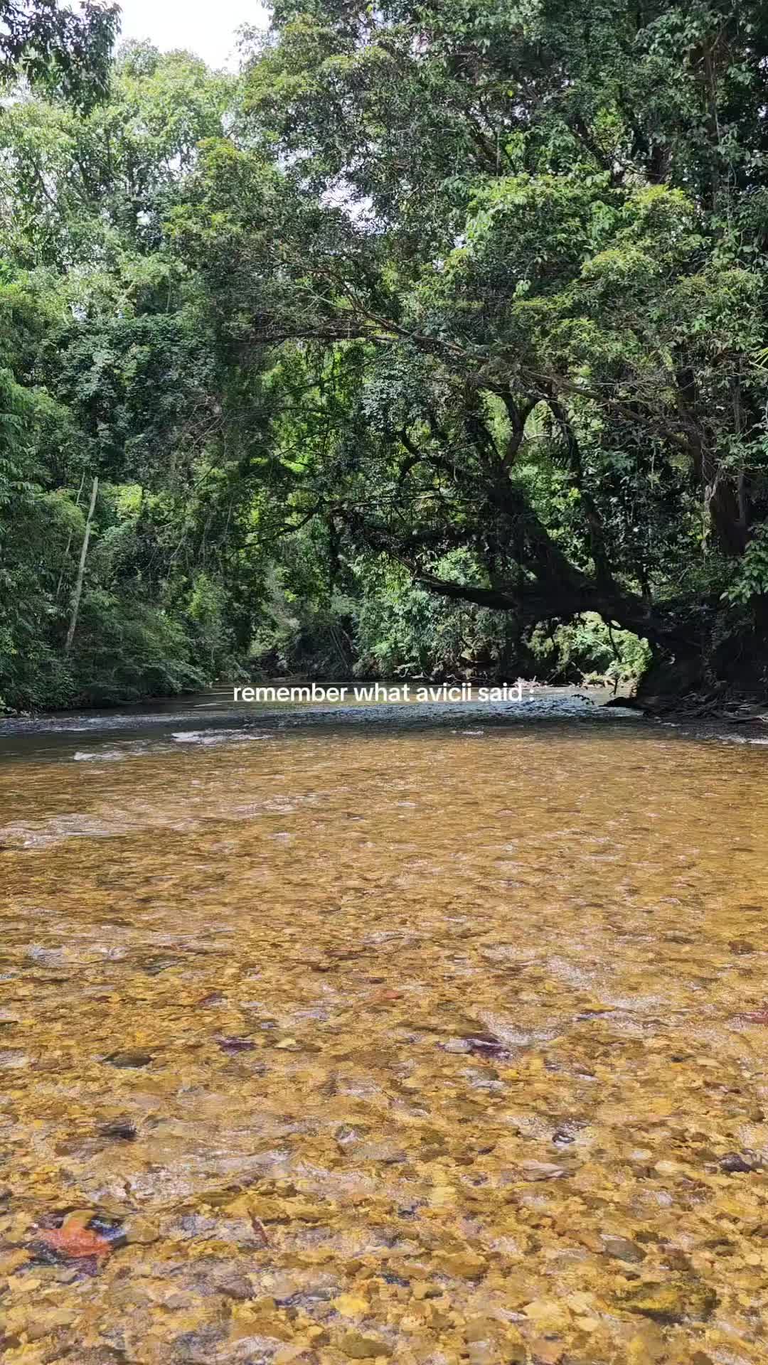 @bombocheezy