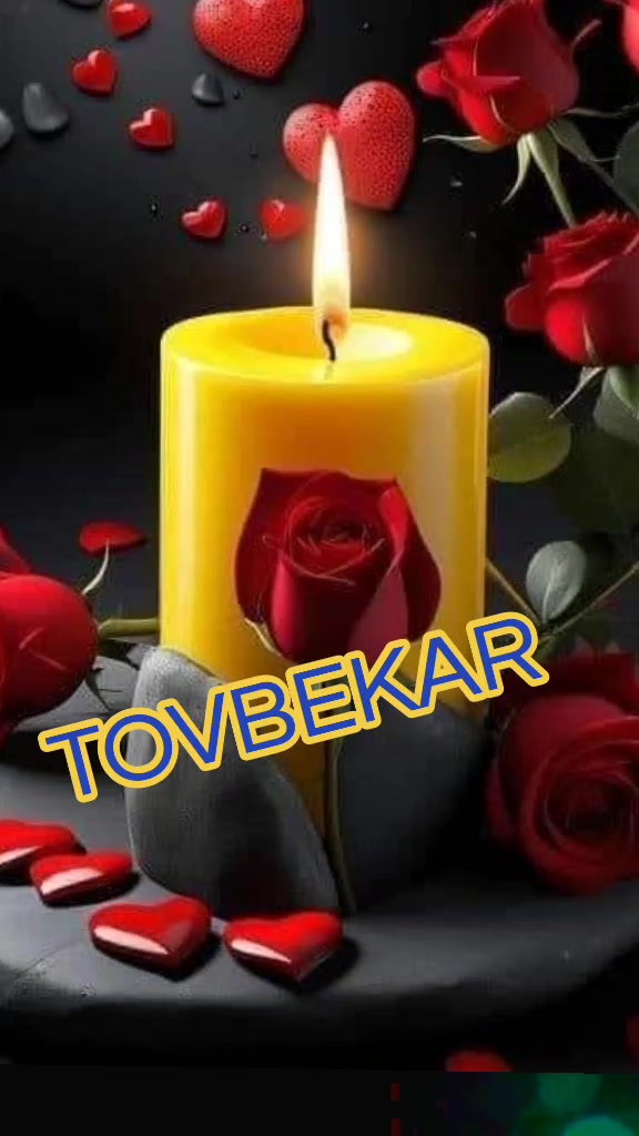 @🖤T&Ouml;VBƏKAR 🖤
