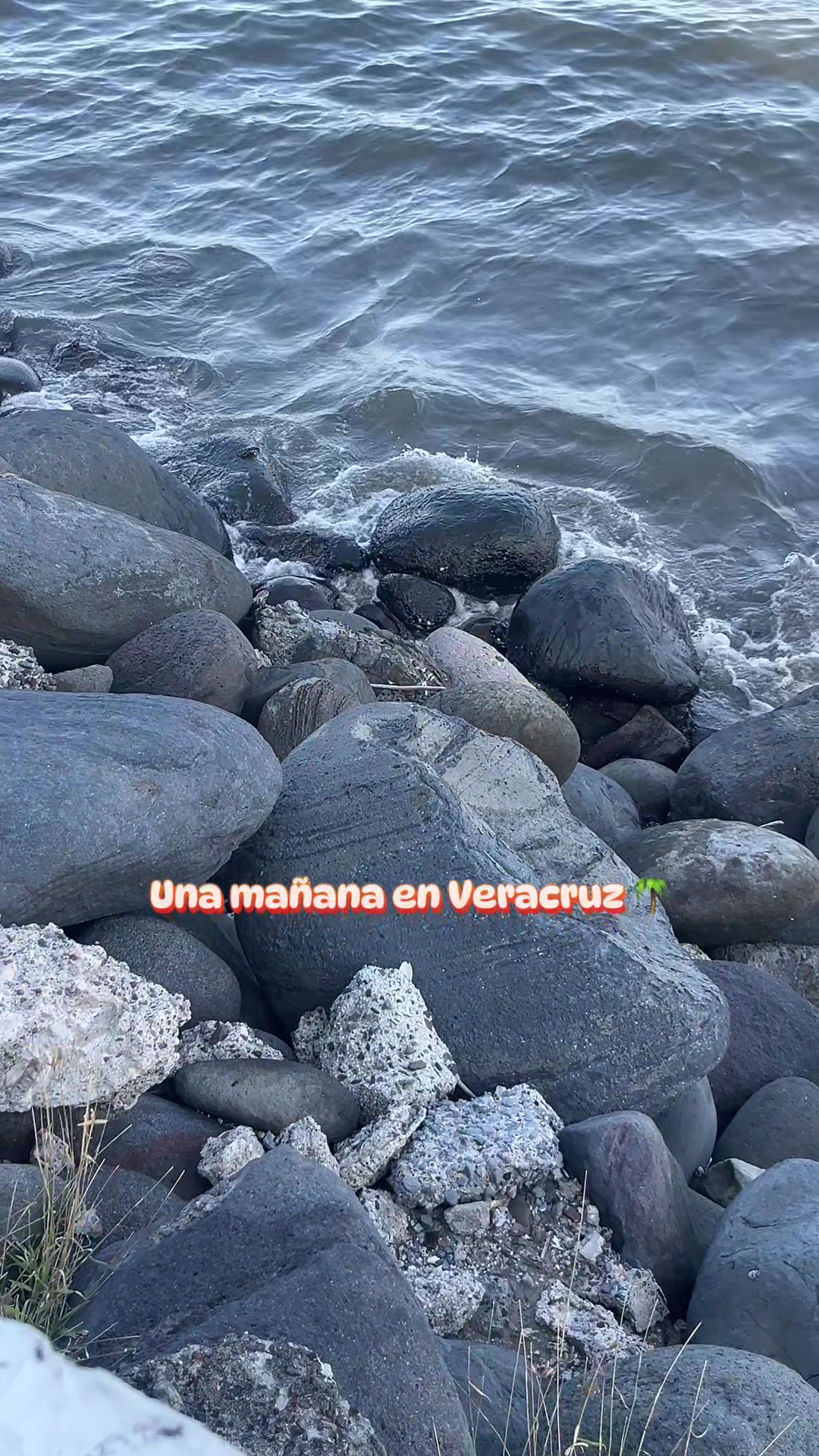 @veracruzmarysol