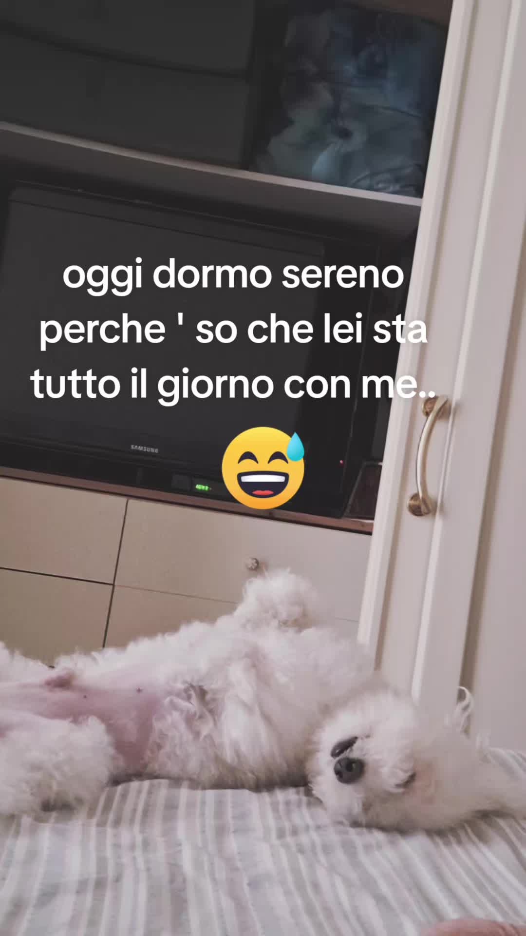 @annaciaramella