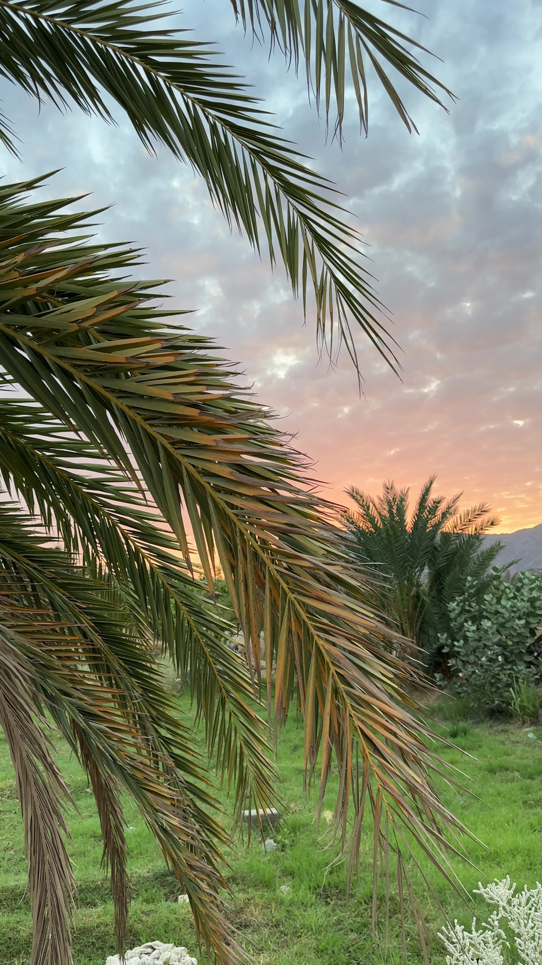 @رِجْم 📸