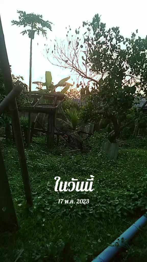 @pimphan