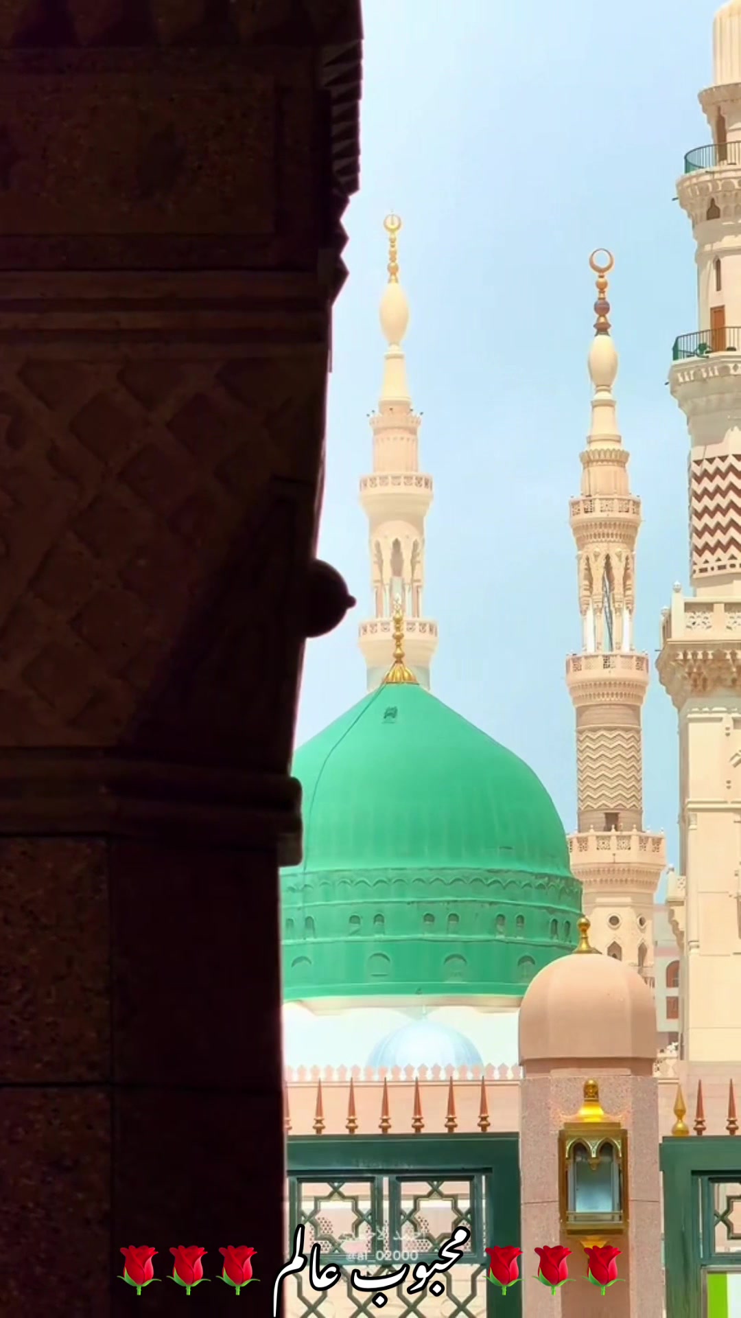 @محبوب عالم