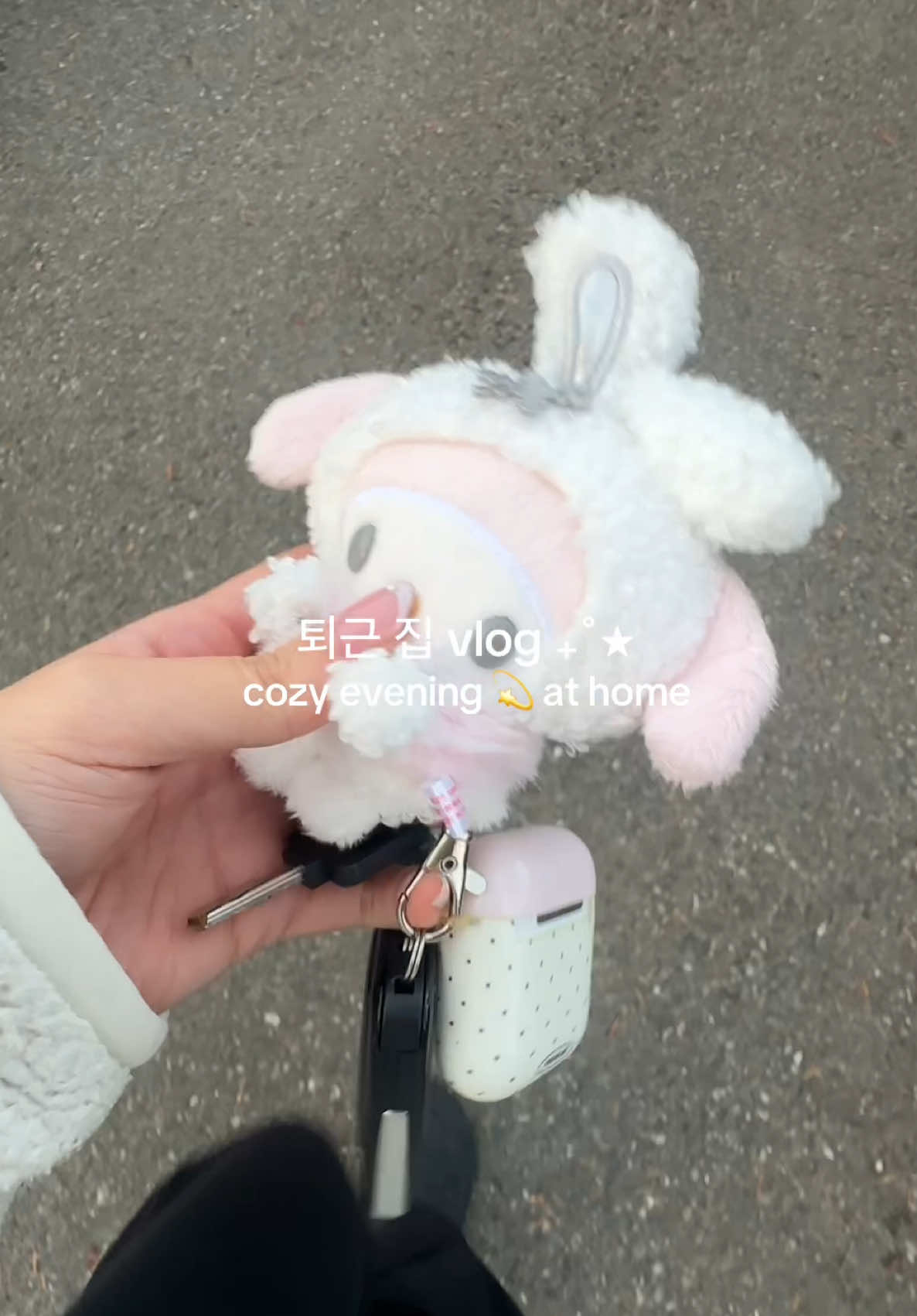 @bora ✦