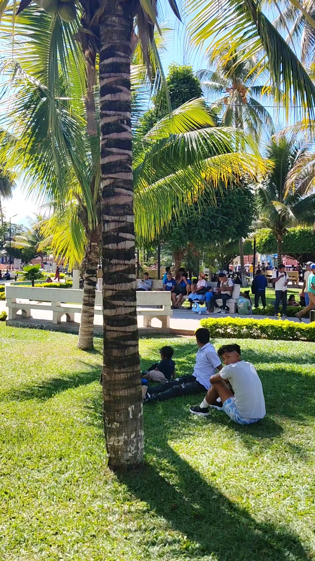 @Angelo Azakura Florez