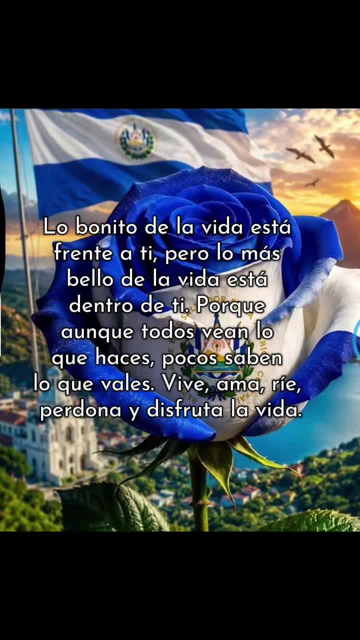 @lisaguanaca