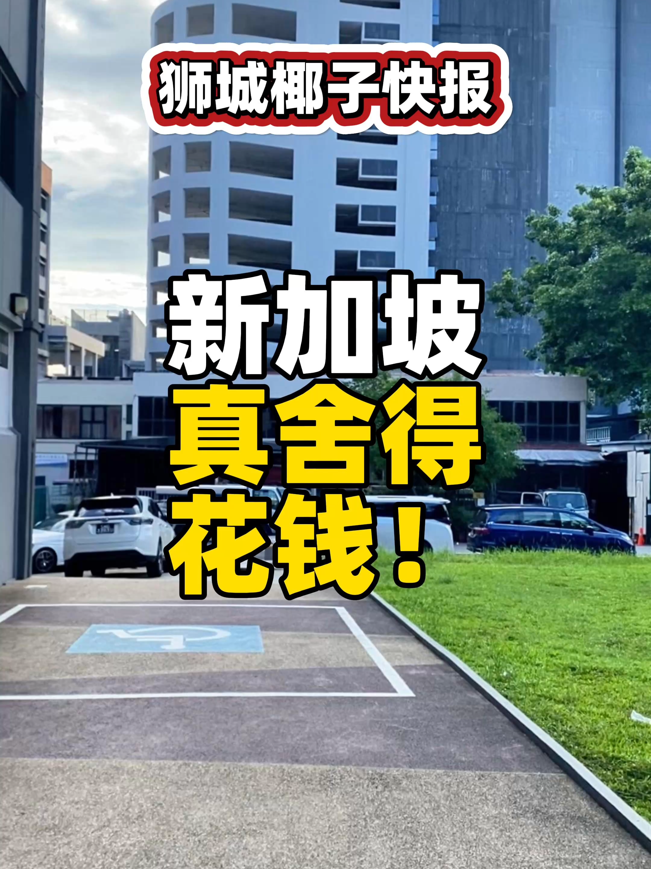 @新加坡狮城椰子