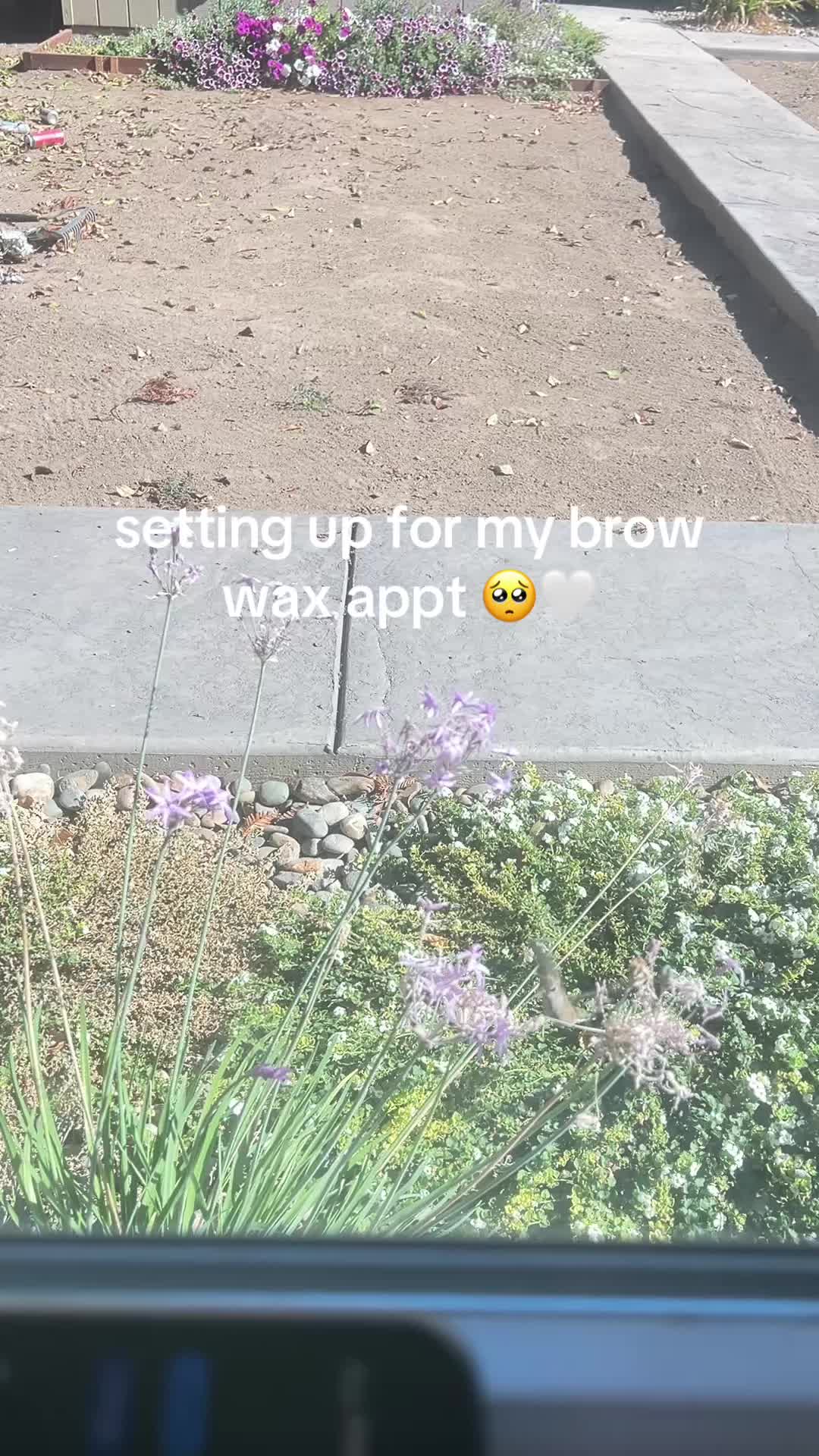 @209 Lash & Brow Artist🎀