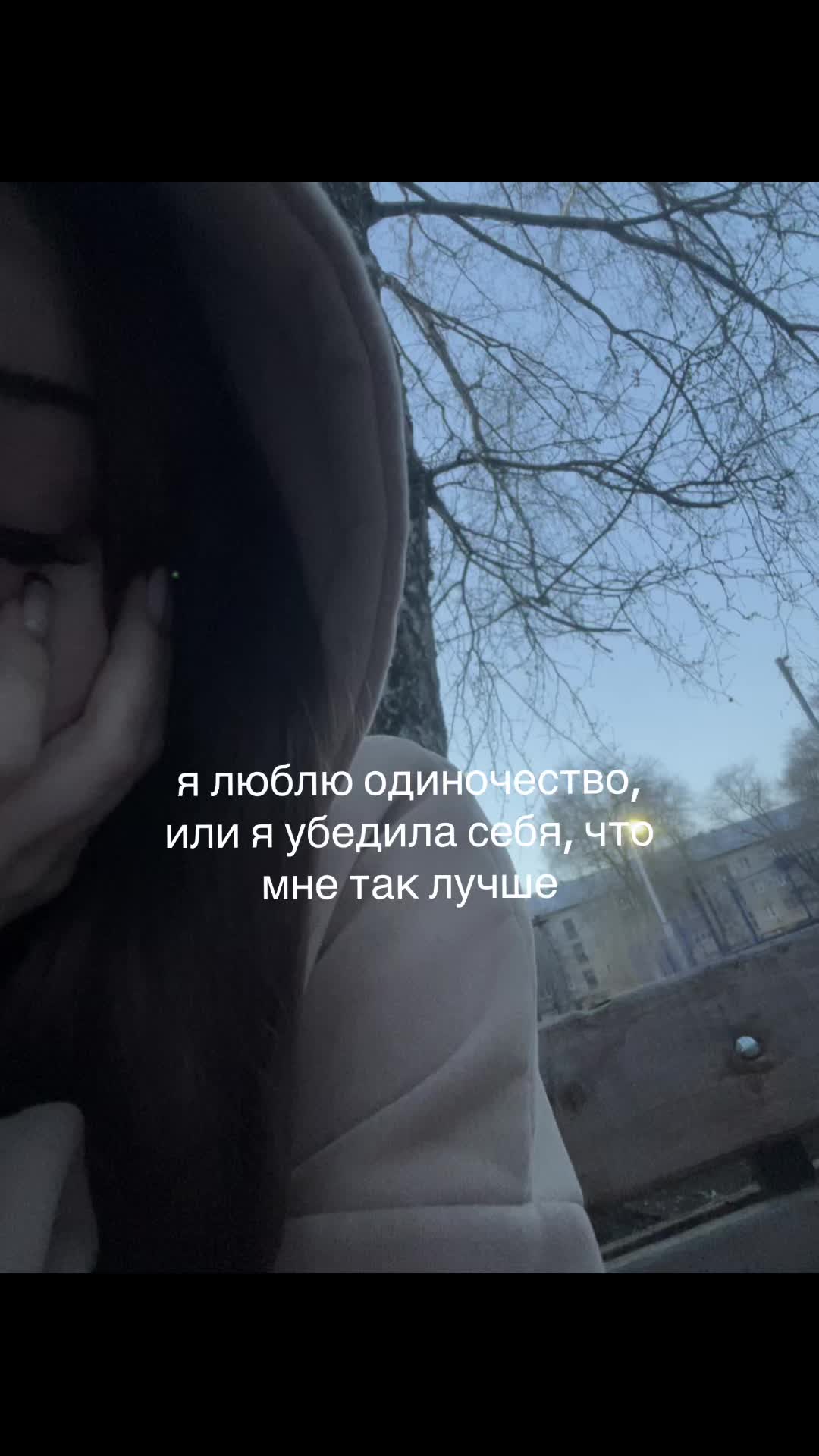 @˚₊𓆩викс𓆪₊˚