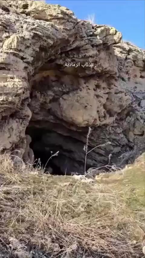 @غازي الديج