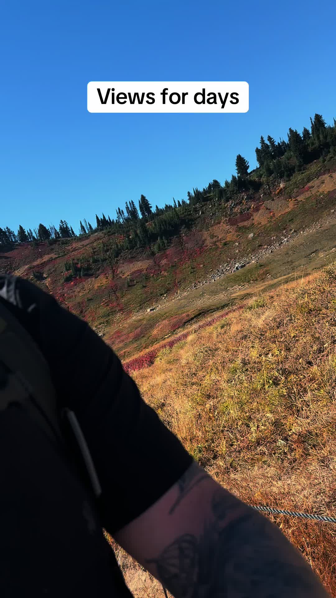 @🌲 James | WA 🏔️
