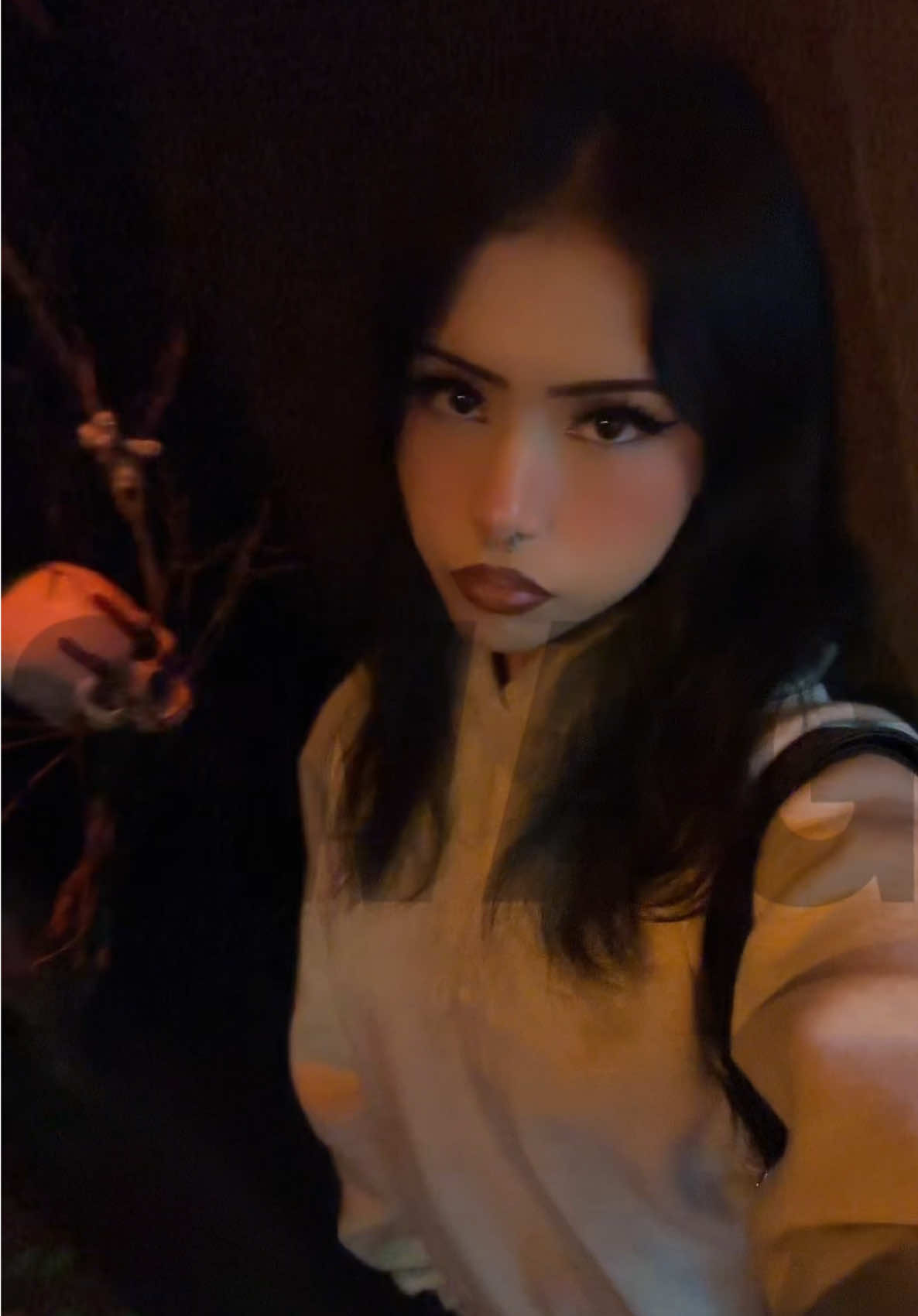 @dutchmami