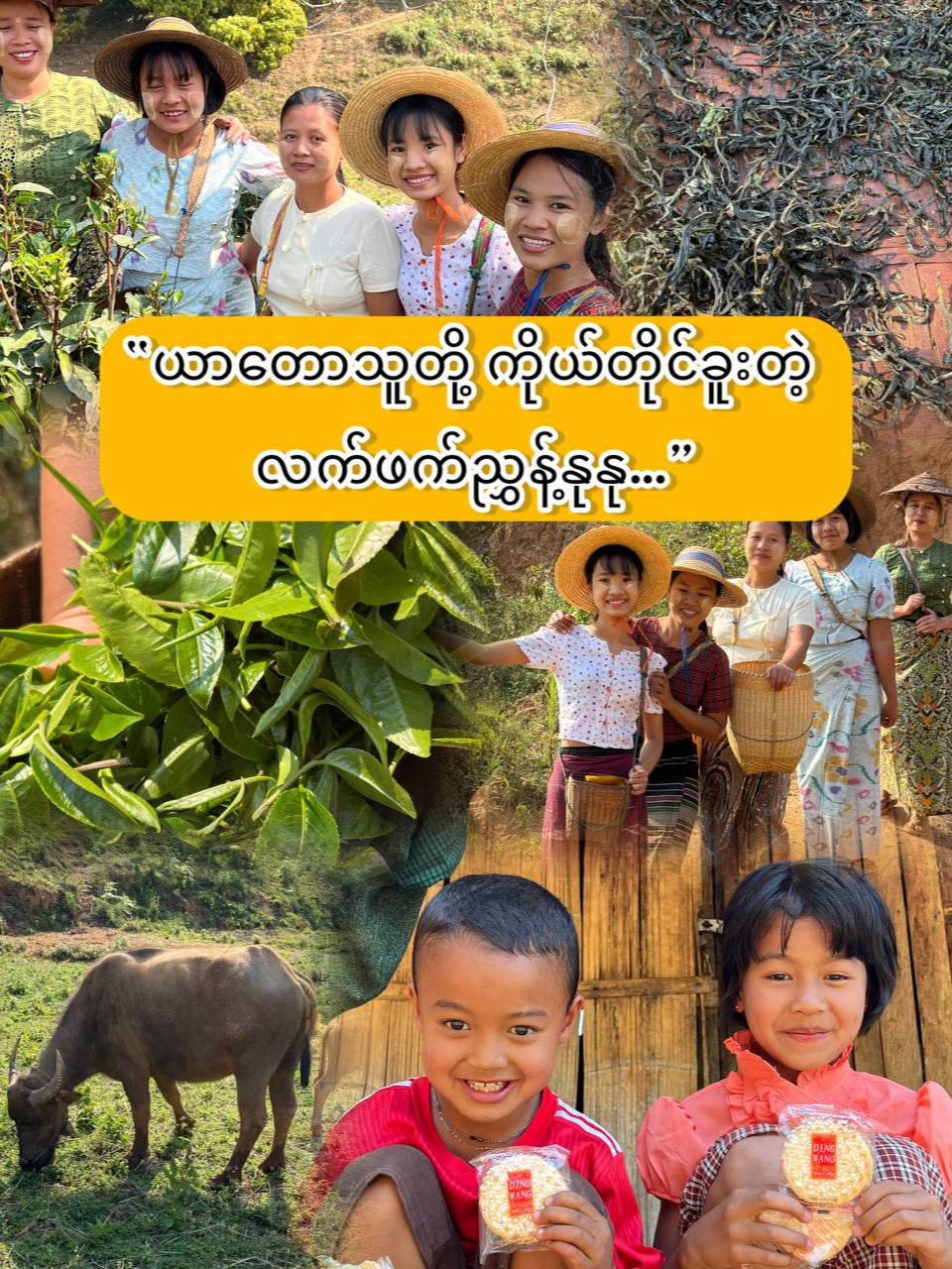 @Yar Taw Thu - ယာတောသူ
