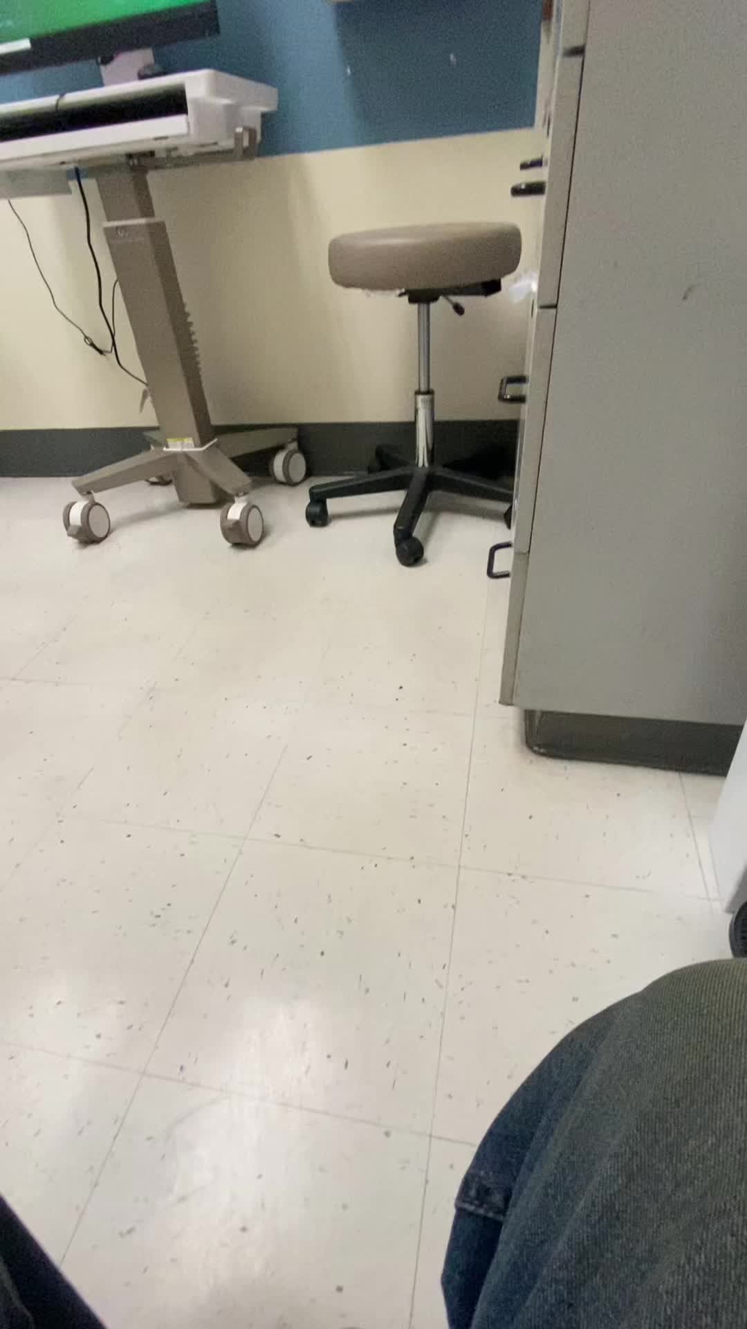 @Perro PAPAYAL