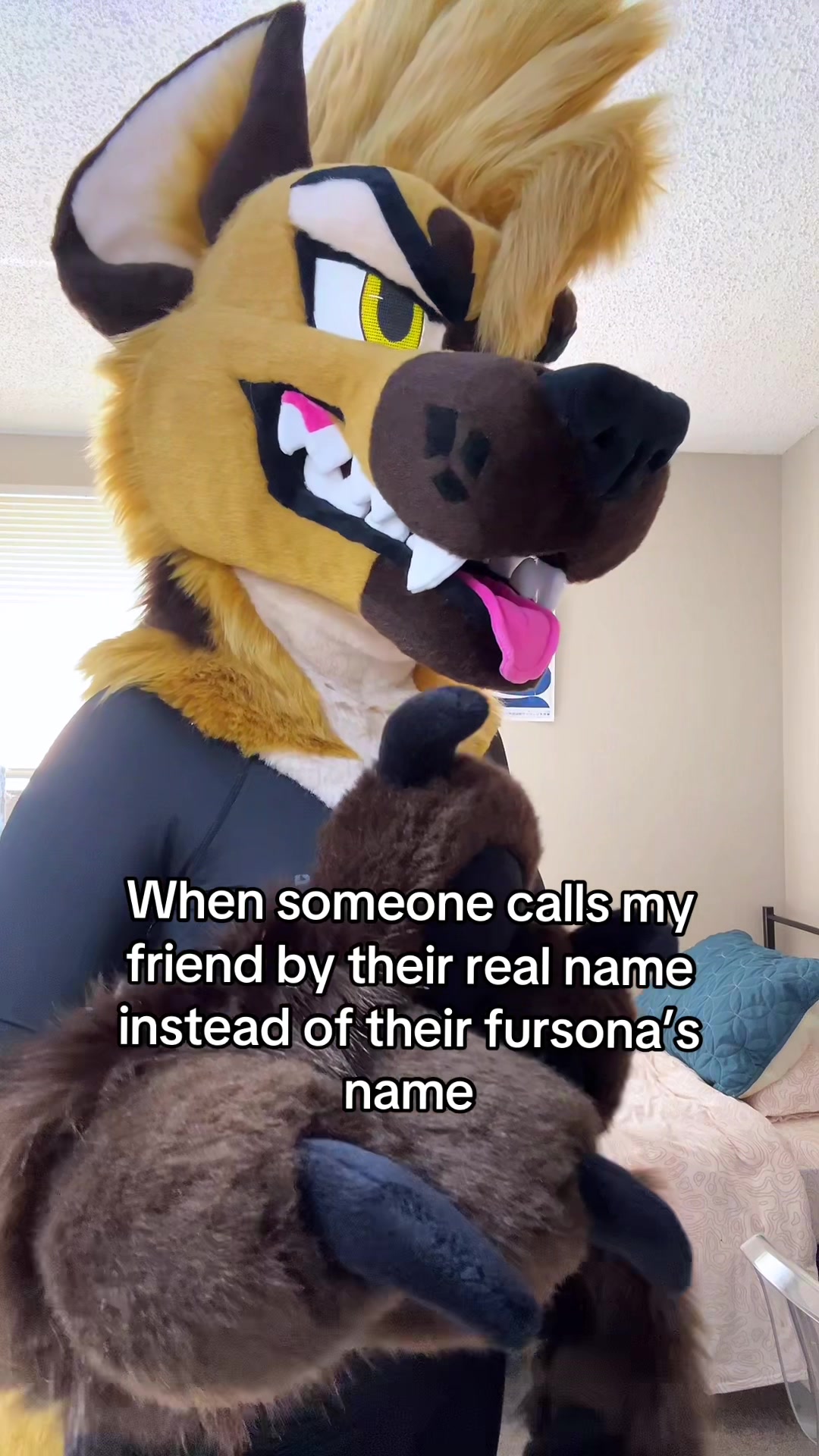 @Dr. Rood Hyena 🇲🇽