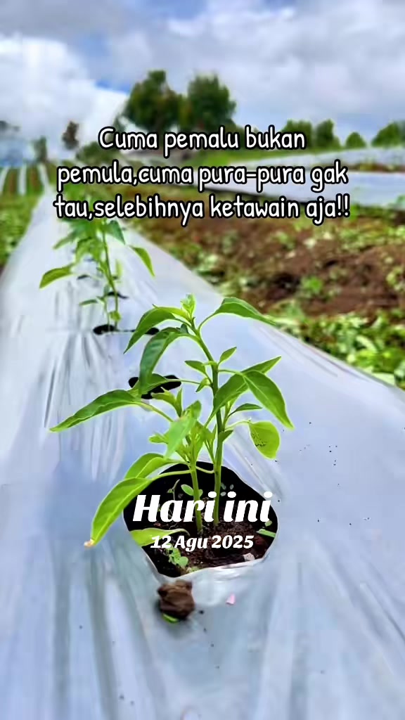 @nanda_setiawan_