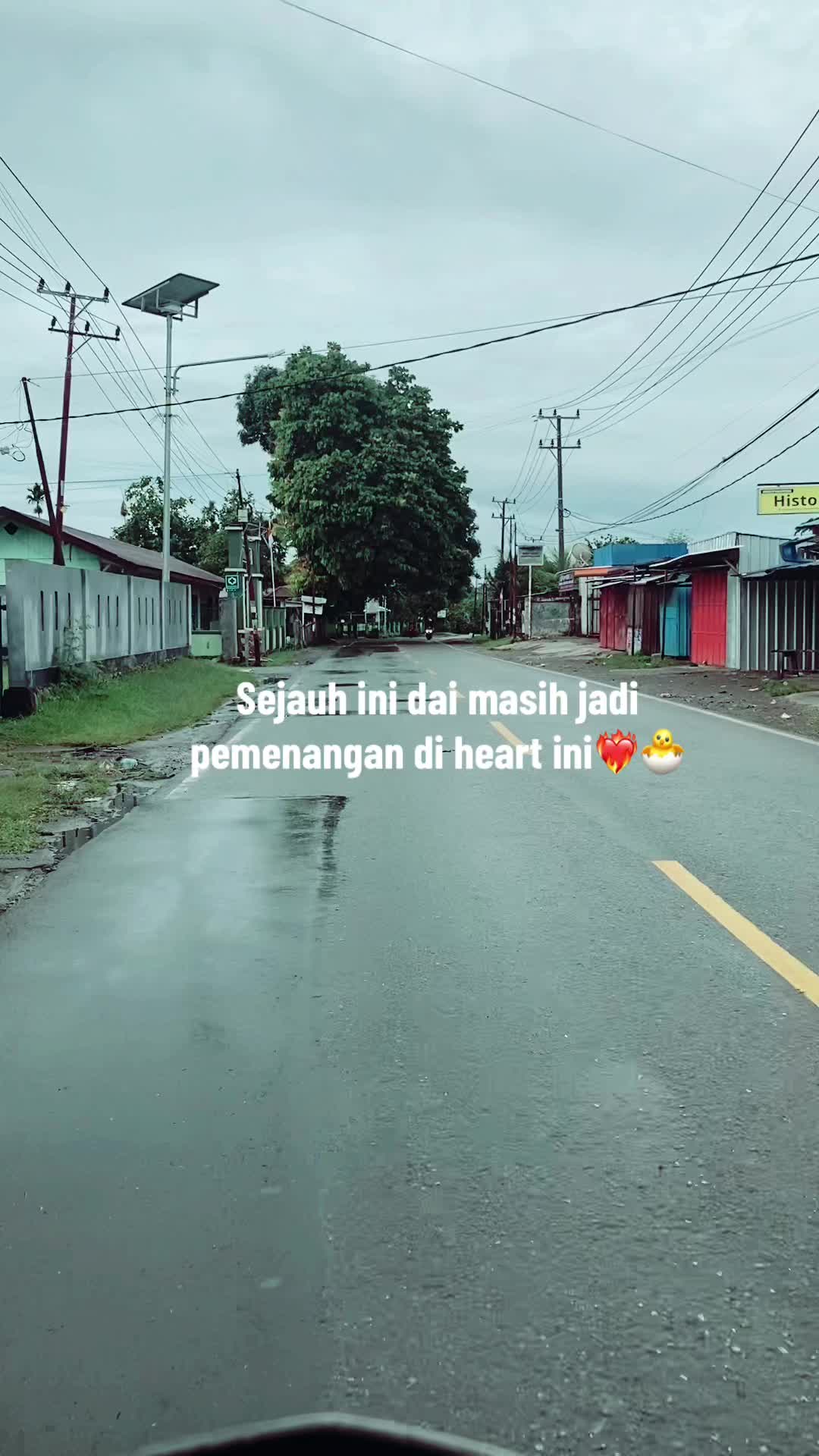 @nanopex21