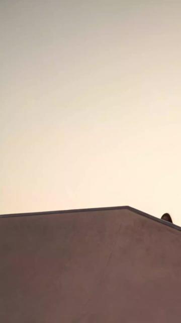 @NevaFiddyOne