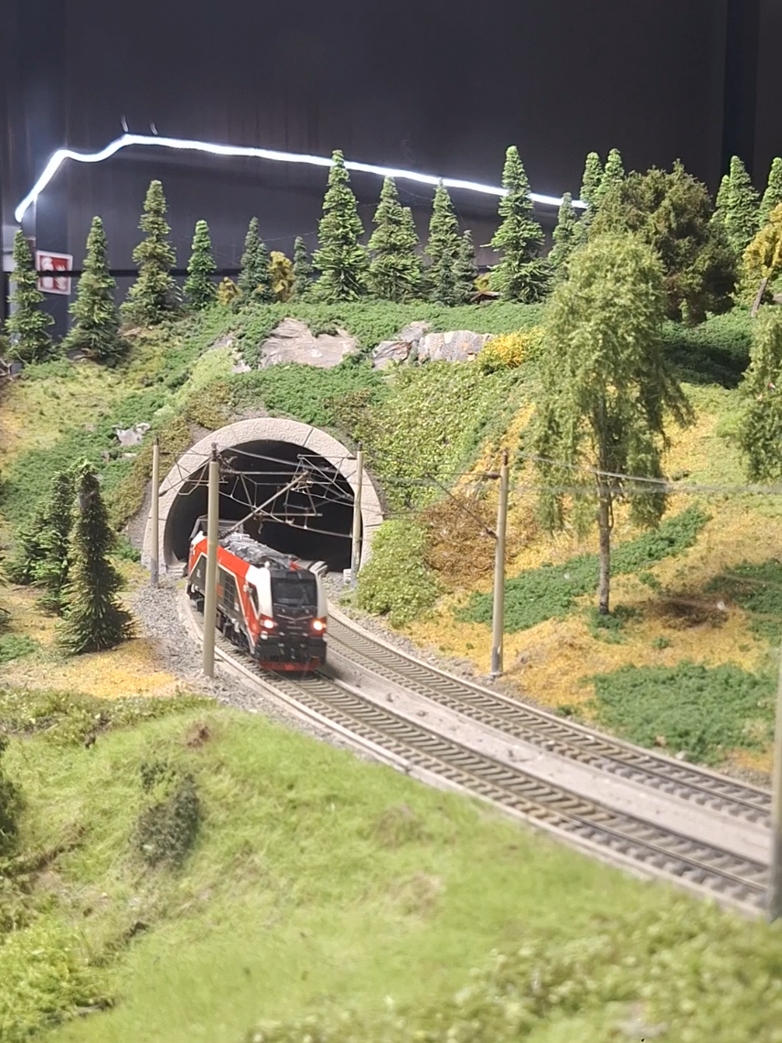 @Ludi 🚂💪