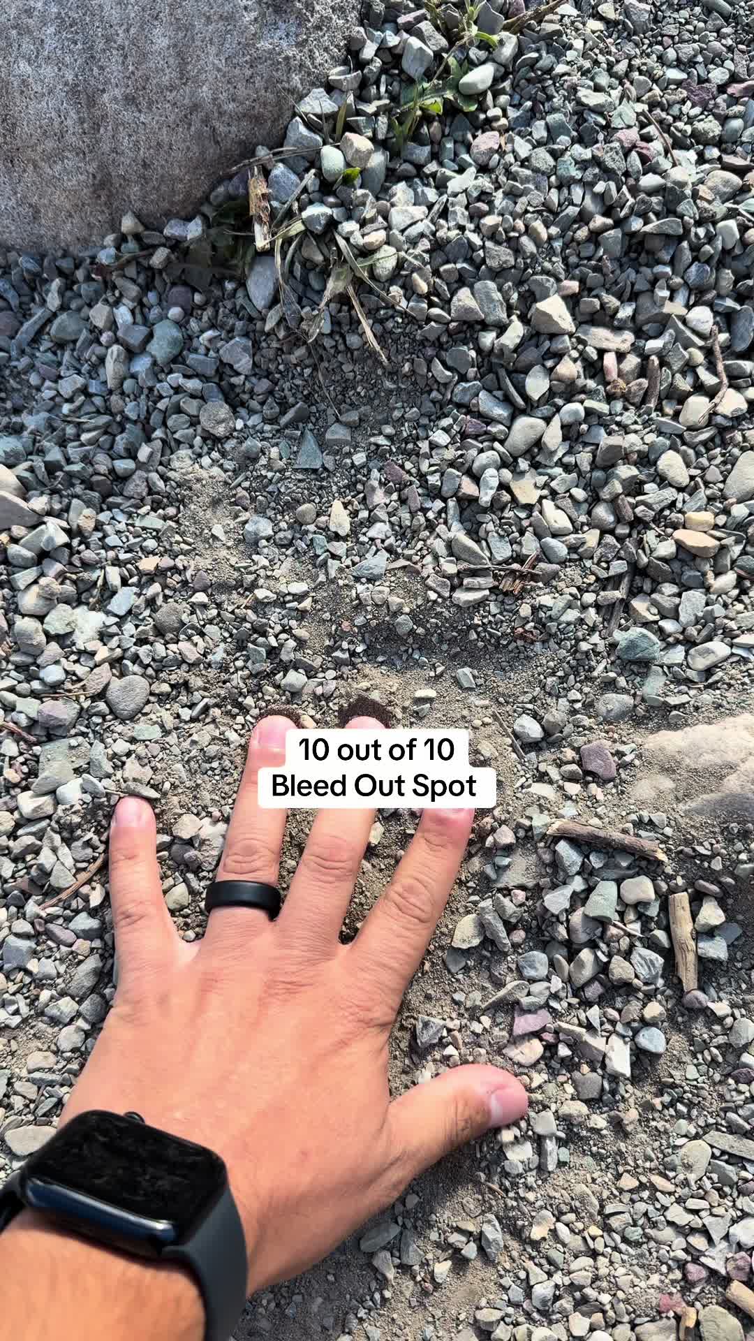 @Tony Ruiz Jr.