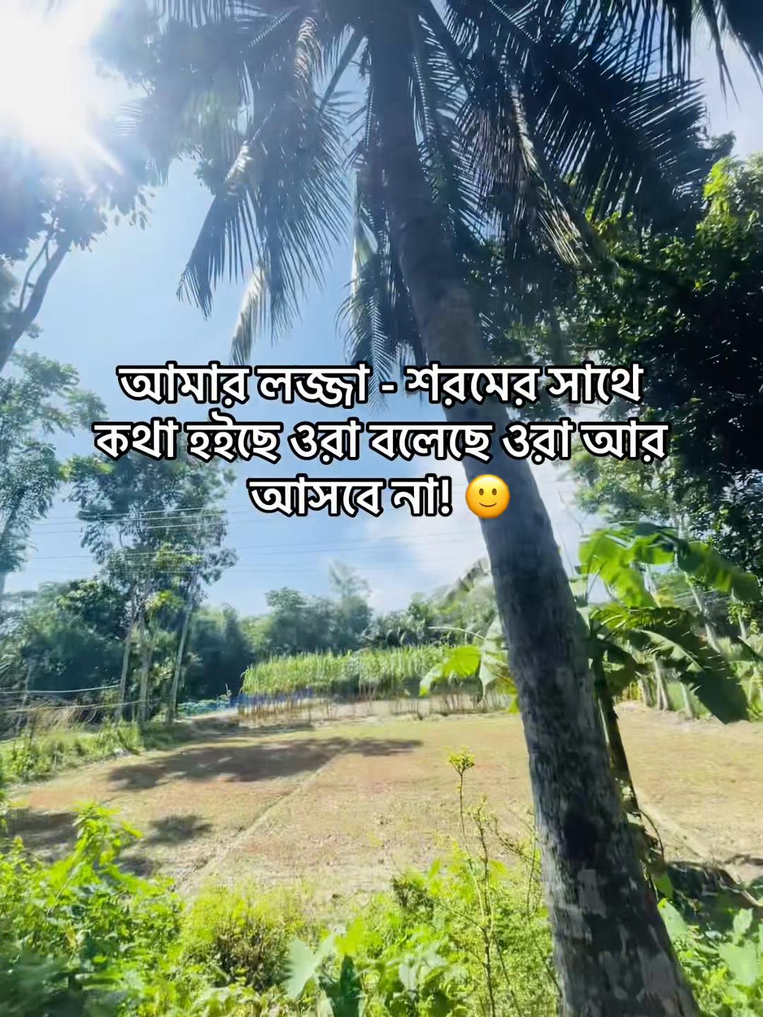 @টিক-টিকি