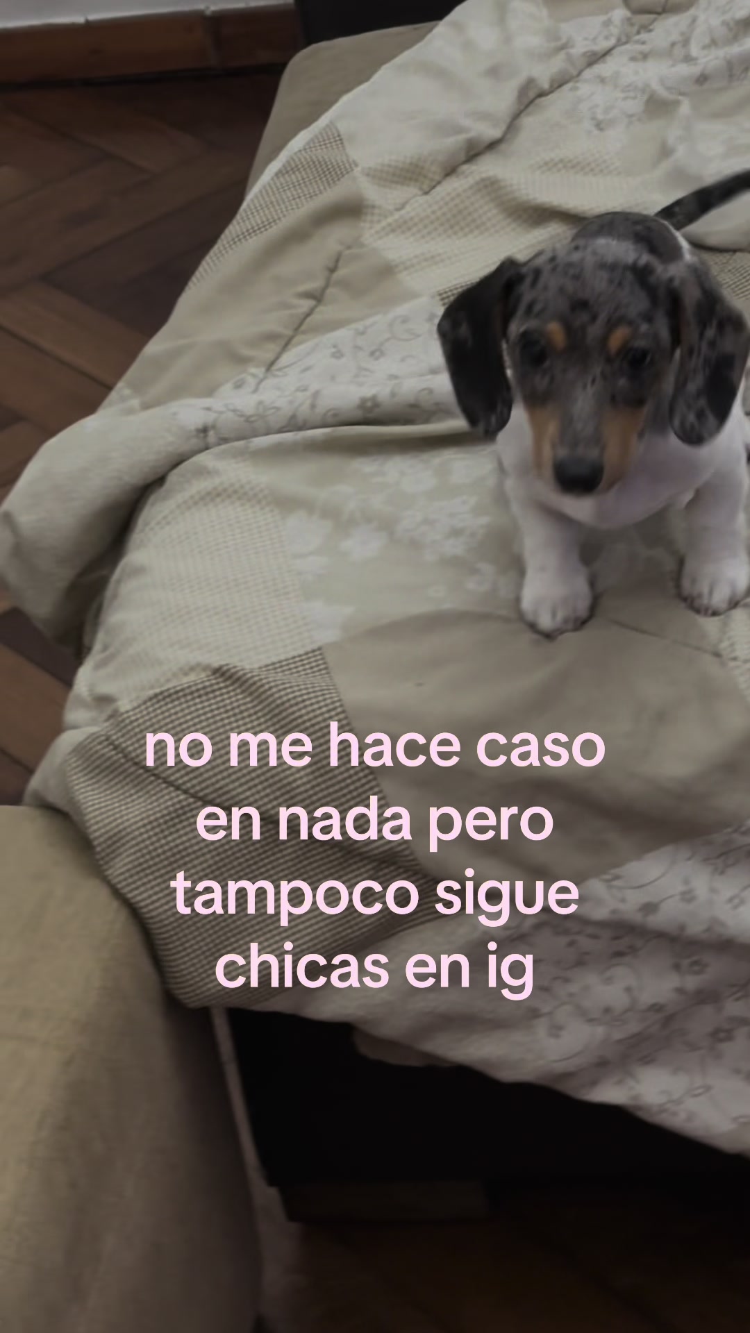 @sofi