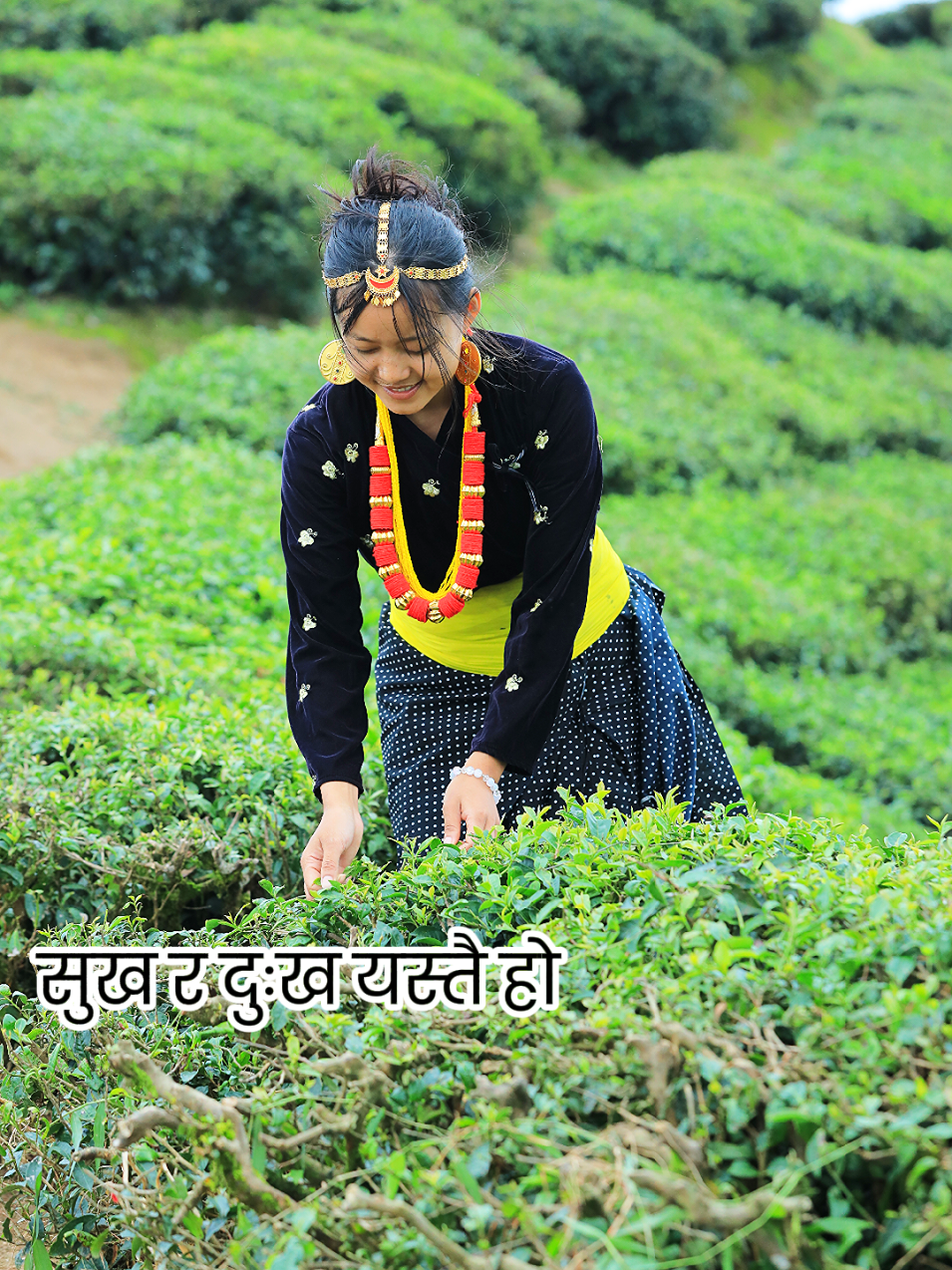 @जल्जला एवाई राई ❤️🌹