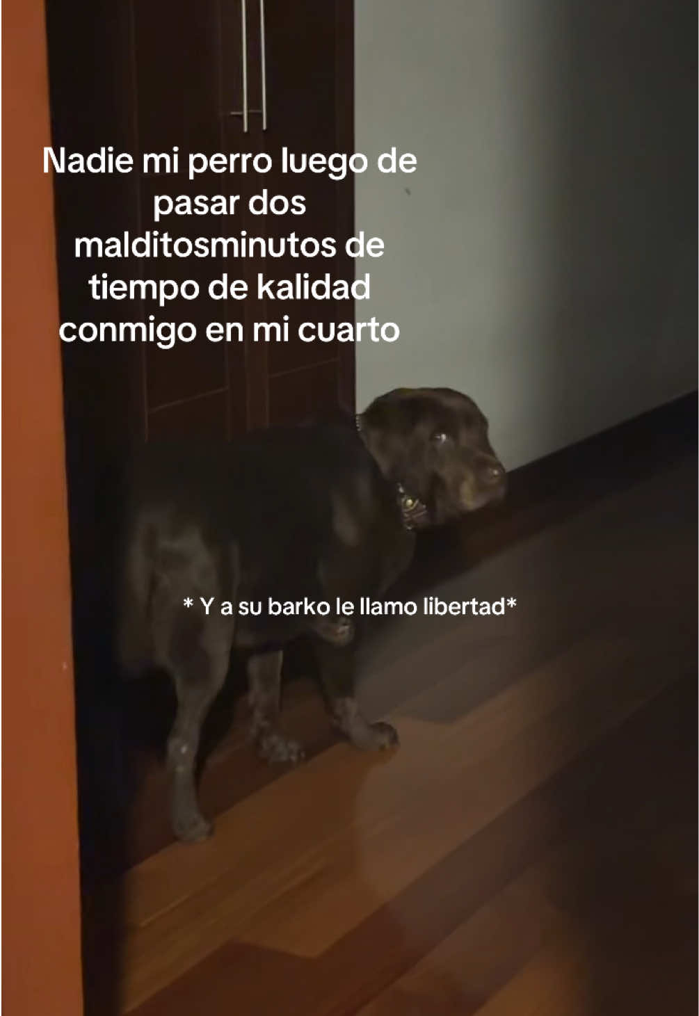 @camila
