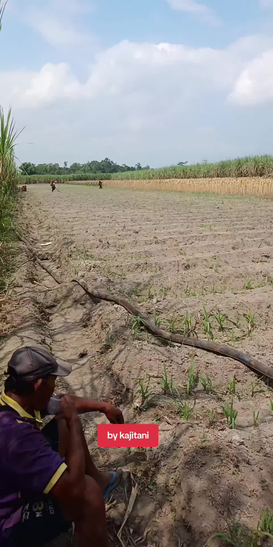 @KAJITANI